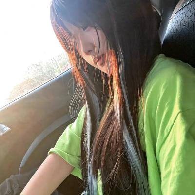 假元首秘纪